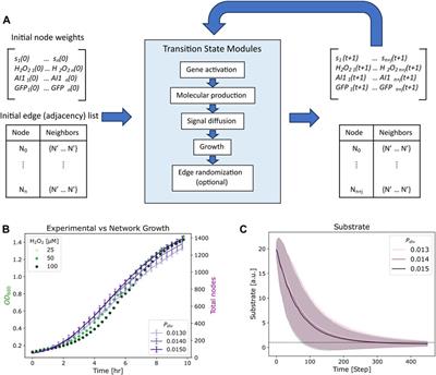 Assessing electrogenetic activation via a network model of biological signal propagation